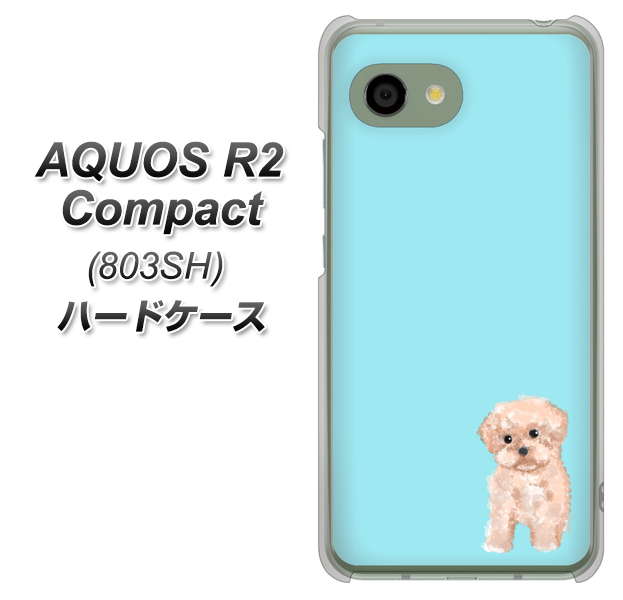 SoftBank アクオス R2 コンパクト 803SH 高画質仕上げ 背面印刷 ハードケース【YJ062 トイプードルアプリコット(ブルー)】