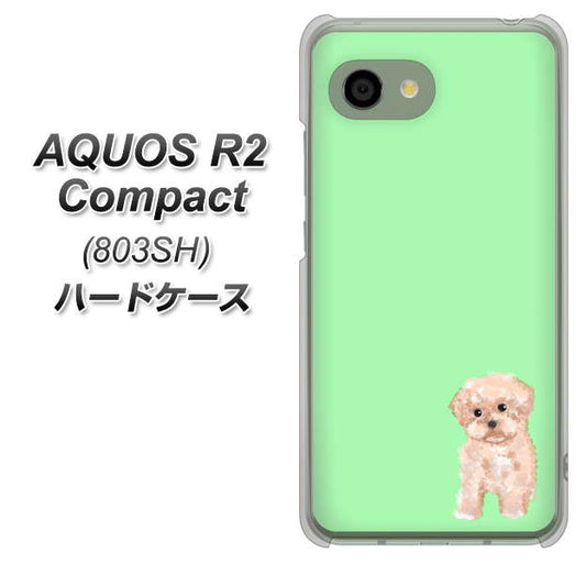 SoftBank アクオス R2 コンパクト 803SH 高画質仕上げ 背面印刷 ハードケース【YJ063 トイプードルアプリコット(グリーン)】