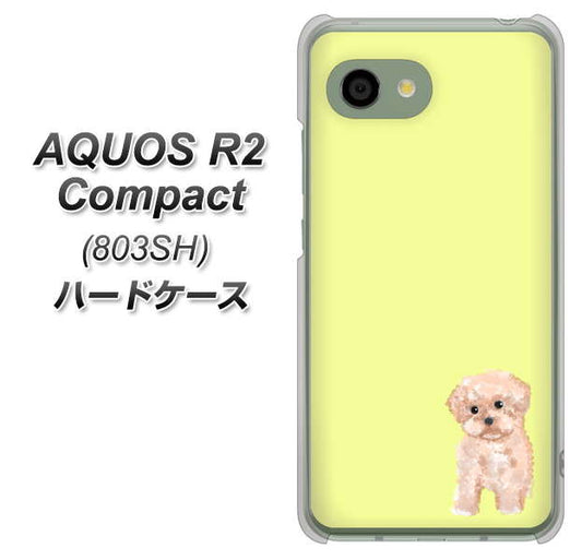 SoftBank アクオス R2 コンパクト 803SH 高画質仕上げ 背面印刷 ハードケース【YJ064 トイプードルアプリコット(イエロー)】
