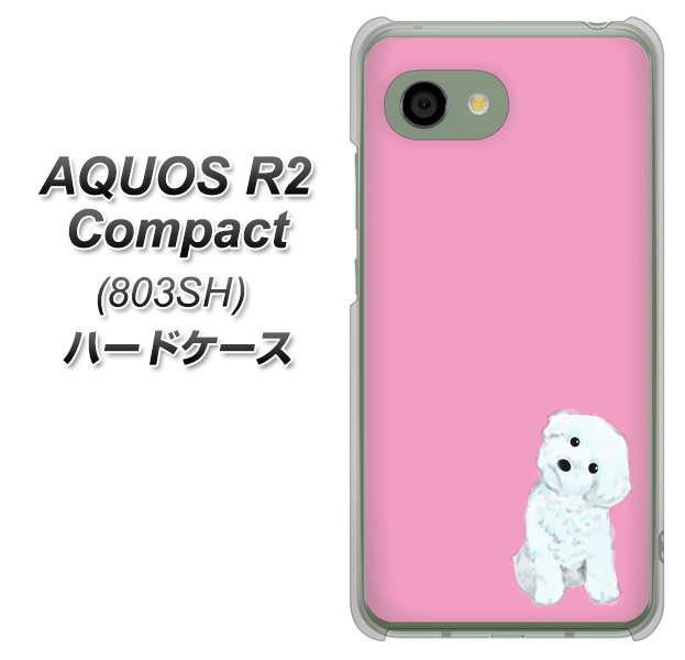 SoftBank アクオス R2 コンパクト 803SH 高画質仕上げ 背面印刷 ハードケース【YJ069 トイプードルホワイト(ピンク)】