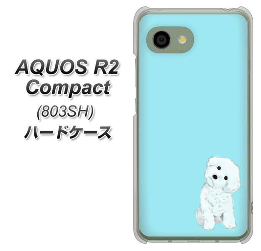 SoftBank アクオス R2 コンパクト 803SH 高画質仕上げ 背面印刷 ハードケース【YJ070 トイプードルホワイト(ブルー)】