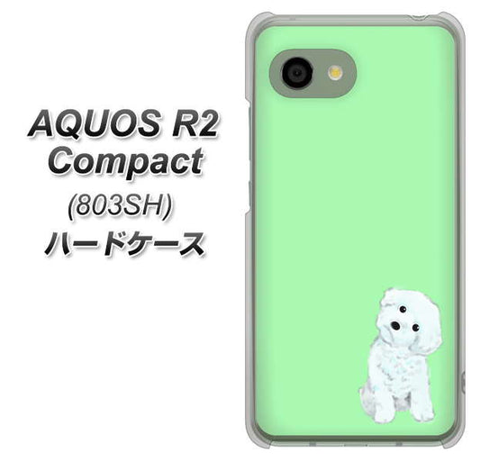 SoftBank アクオス R2 コンパクト 803SH 高画質仕上げ 背面印刷 ハードケース【YJ071 トイプードルホワイト(グリーン)】