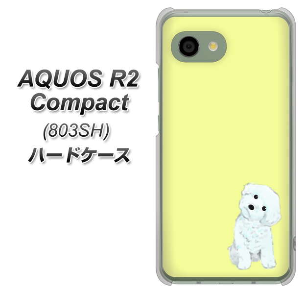 SoftBank アクオス R2 コンパクト 803SH 高画質仕上げ 背面印刷 ハードケース【YJ072 トイプードルホワイト(イエロー)】