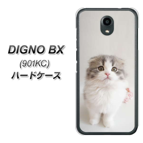 Softbank ディグノBX 901KC 高画質仕上げ 背面印刷 ハードケース【VA803 まっていますネコ】