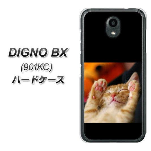 Softbank ディグノBX 901KC 高画質仕上げ 背面印刷 ハードケース【VA804 爆睡するネコ】