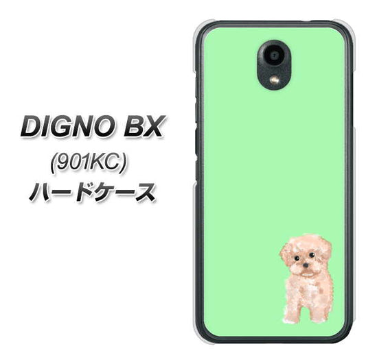 Softbank ディグノBX 901KC 高画質仕上げ 背面印刷 ハードケース【YJ063 トイプードルアプリコット(グリーン)】