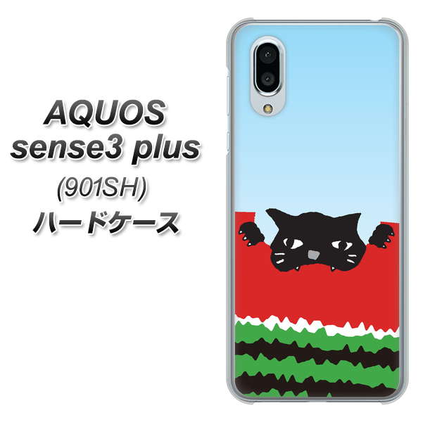 SoftBank アクオスセンス3 プラス 901SH 高画質仕上げ 背面印刷 ハードケース【IA815 すいかをかじるネコ(大)】