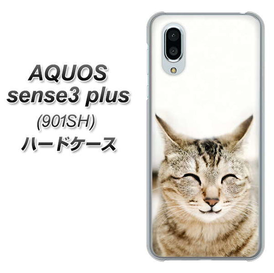 SoftBank アクオスセンス3 プラス 901SH 高画質仕上げ 背面印刷 ハードケース【VA801 笑福ねこ】