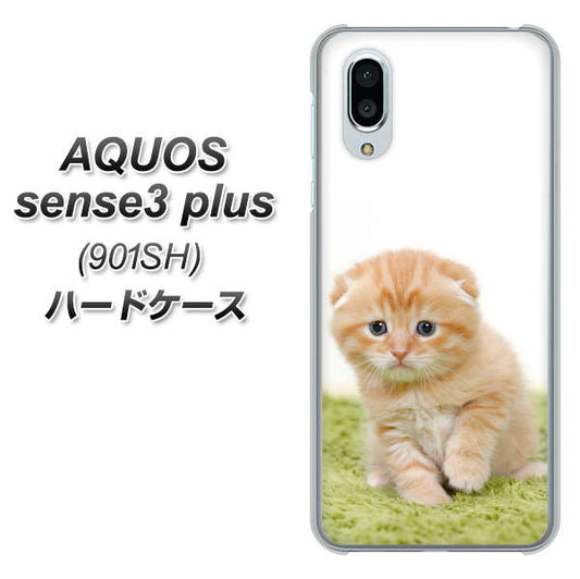 SoftBank アクオスセンス3 プラス 901SH 高画質仕上げ 背面印刷 ハードケース【VA802 ネコこっそり】