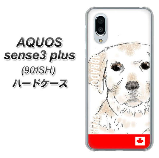 SoftBank アクオスセンス3 プラス 901SH 高画質仕上げ 背面印刷 ハードケース【YD821 ラブラドールレトリバー02】