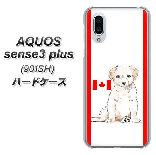 SoftBank アクオスセンス3 プラス 901SH 高画質仕上げ 背面印刷 ハードケース【YD824 ラブラドールレトリバー05】