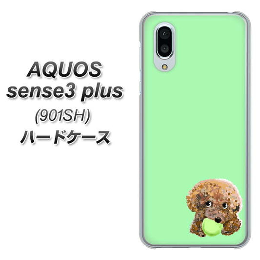 SoftBank アクオスセンス3 プラス 901SH 高画質仕上げ 背面印刷 ハードケース【YJ055 トイプードル&ボール(グリーン)】