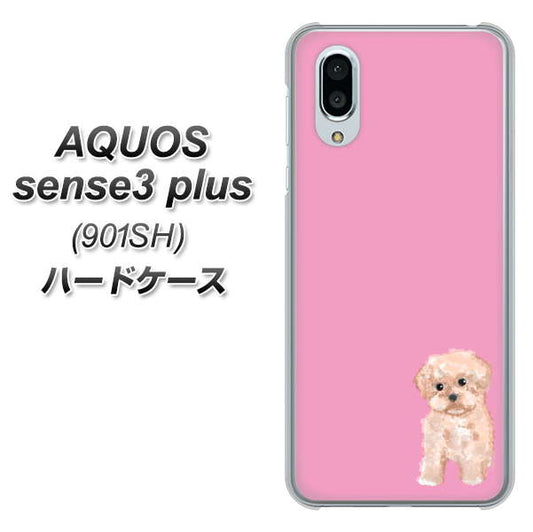 SoftBank アクオスセンス3 プラス 901SH 高画質仕上げ 背面印刷 ハードケース【YJ061 トイプードルアプリコット(ピンク)】