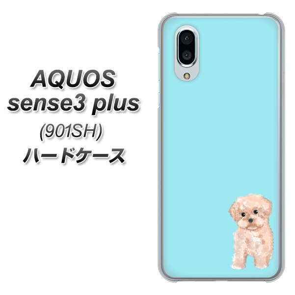 SoftBank アクオスセンス3 プラス 901SH 高画質仕上げ 背面印刷 ハードケース【YJ062 トイプードルアプリコット(ブルー)】