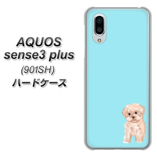 SoftBank アクオスセンス3 プラス 901SH 高画質仕上げ 背面印刷 ハードケース【YJ062 トイプードルアプリコット(ブルー)】