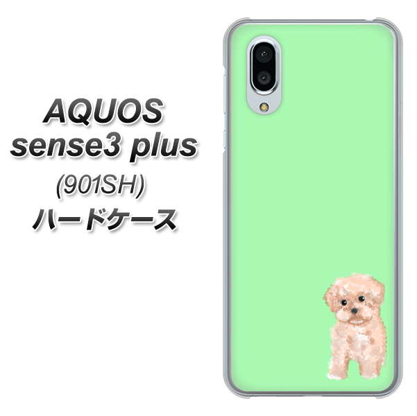 SoftBank アクオスセンス3 プラス 901SH 高画質仕上げ 背面印刷 ハードケース【YJ063 トイプードルアプリコット(グリーン)】
