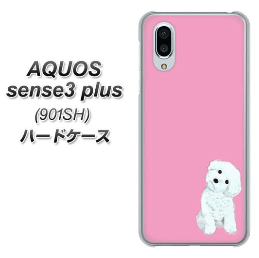 SoftBank アクオスセンス3 プラス 901SH 高画質仕上げ 背面印刷 ハードケース【YJ069 トイプードルホワイト(ピンク)】