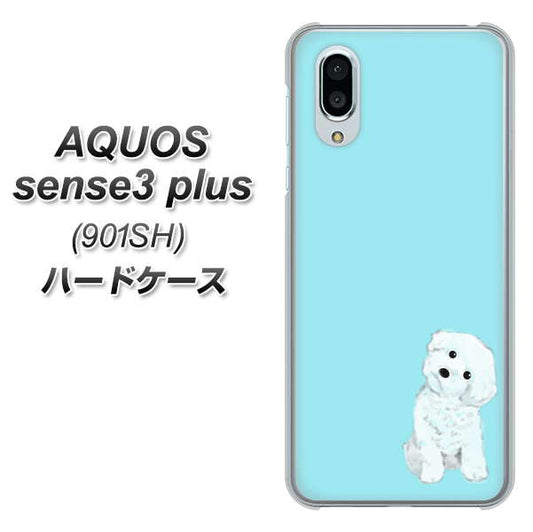 SoftBank アクオスセンス3 プラス 901SH 高画質仕上げ 背面印刷 ハードケース【YJ070 トイプードルホワイト(ブルー)】