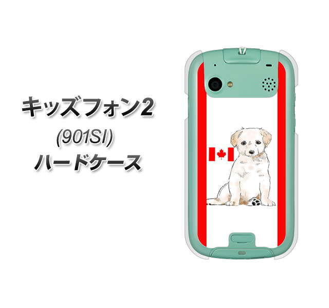SoftBank キッズフォン2 901SI 高画質仕上げ 背面印刷 ハードケース【YD824 ラブラドールレトリバー05】