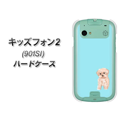 SoftBank キッズフォン2 901SI 高画質仕上げ 背面印刷 ハードケース【YJ062 トイプードルアプリコット(ブルー)】