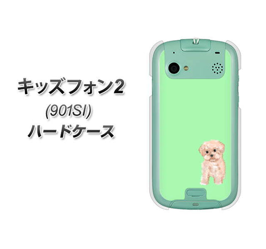 SoftBank キッズフォン2 901SI 高画質仕上げ 背面印刷 ハードケース【YJ063 トイプードルアプリコット(グリーン)】