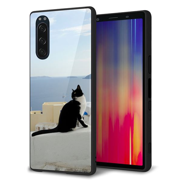 softbank エクスペリア5 901SO 強化ガラス&TPUスマホケース ガラプリ【VA805 ネコと地中海】
