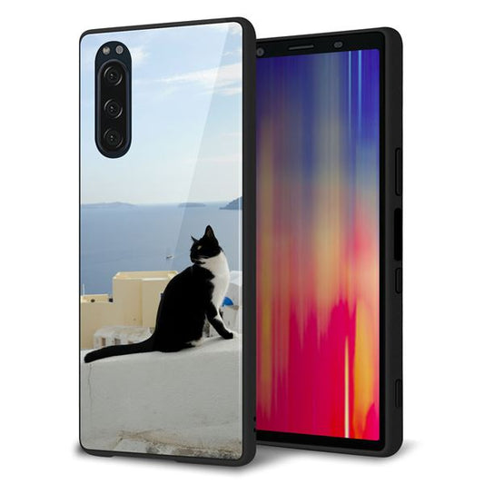 softbank エクスペリア5 901SO 強化ガラス&TPUスマホケース ガラプリ【VA805 ネコと地中海】