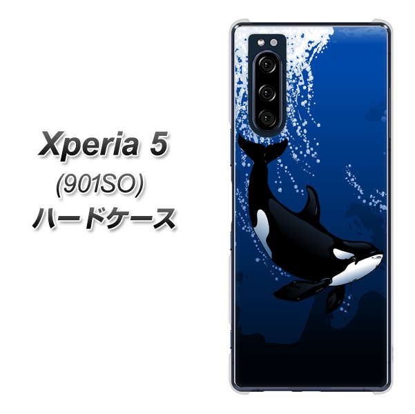softbank エクスペリア5 901SO 高画質仕上げ 背面印刷 ハードケース【423 シャチ】