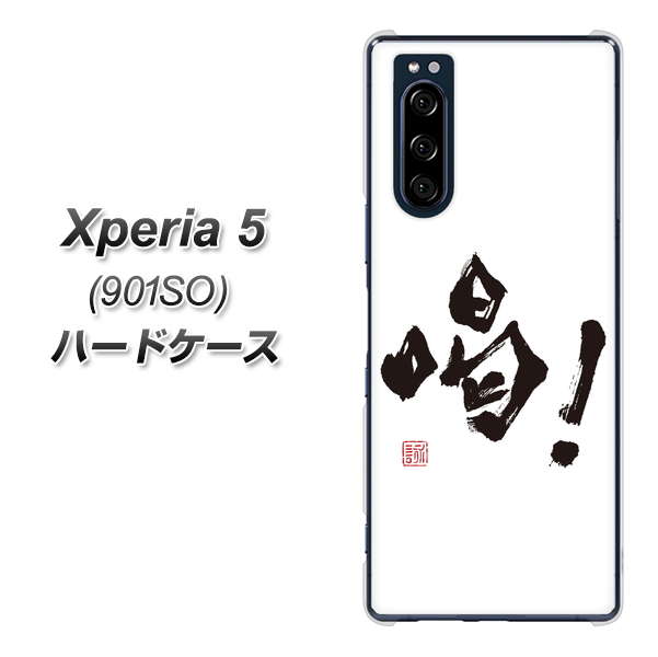 softbank エクスペリア5 901SO 高画質仕上げ 背面印刷 ハードケース【OE845 喝!】