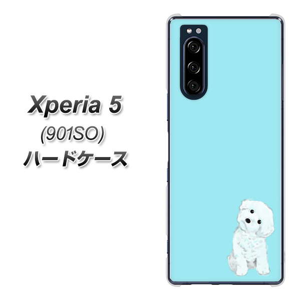 softbank エクスペリア5 901SO 高画質仕上げ 背面印刷 ハードケース【YJ070 トイプードルホワイト(ブルー)】