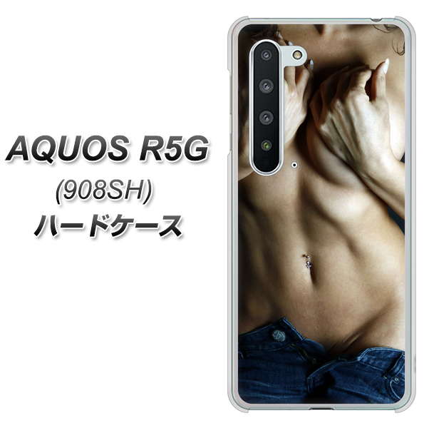 Softbank アクオス R5G 908SH 高画質仕上げ 背面印刷 ハードケース【602 ボディライン】