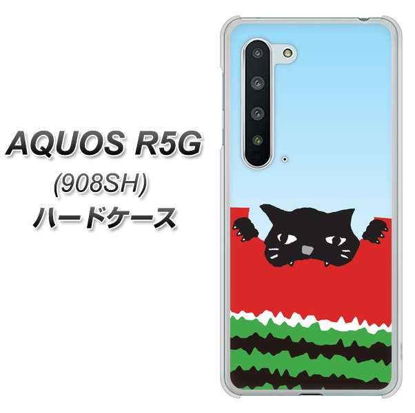 Softbank アクオス R5G 908SH 高画質仕上げ 背面印刷 ハードケース【IA815 すいかをかじるネコ(大)】