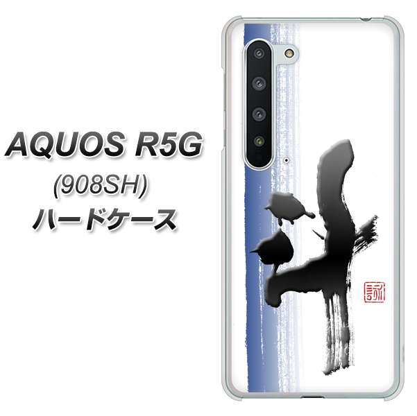 Softbank アクオス R5G 908SH 高画質仕上げ 背面印刷 ハードケース【OE829 斗】