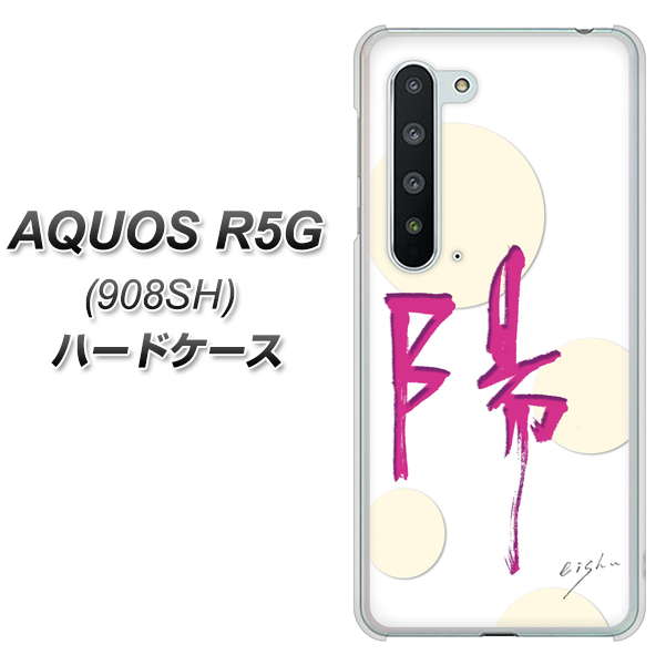 Softbank アクオス R5G 908SH 高画質仕上げ 背面印刷 ハードケース【OE833 陽】