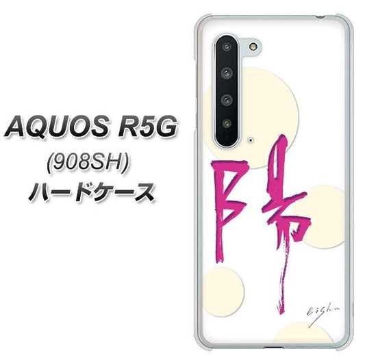 Softbank アクオス R5G 908SH 高画質仕上げ 背面印刷 ハードケース【OE833 陽】