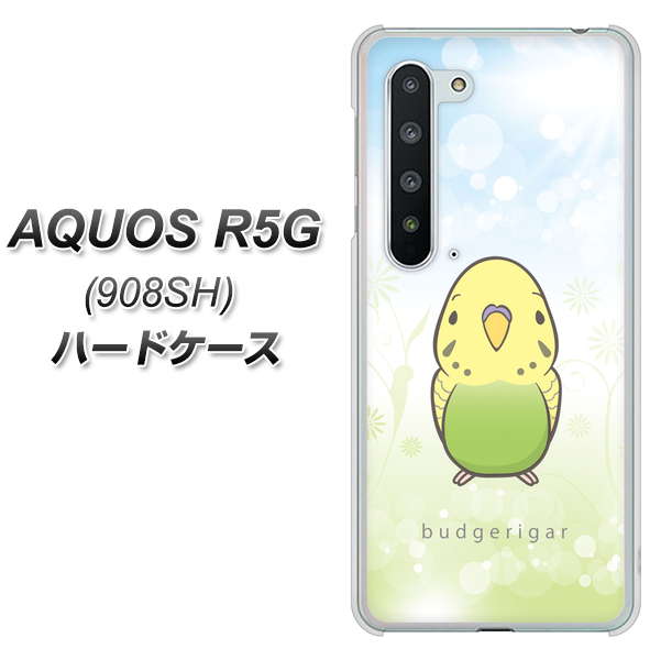 Softbank アクオス R5G 908SH 高画質仕上げ 背面印刷 ハードケース【SC838 セキセイインコ グリーン】