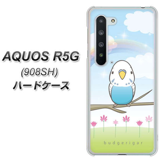 Softbank アクオス R5G 908SH 高画質仕上げ 背面印刷 ハードケース【SC839 セキセイインコ ブルー】