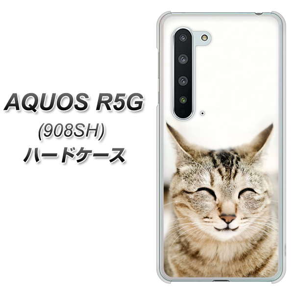 Softbank アクオス R5G 908SH 高画質仕上げ 背面印刷 ハードケース【VA801 笑福ねこ】