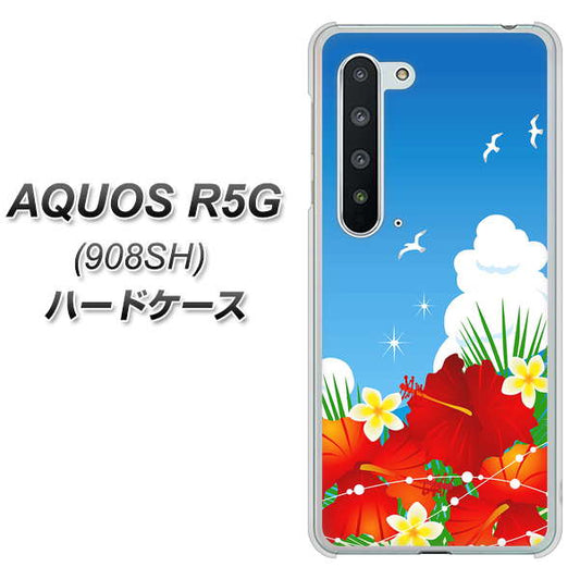 Softbank アクオス R5G 908SH 高画質仕上げ 背面印刷 ハードケース【VA821 ハイビスカスと青空】