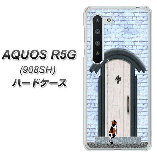 Softbank アクオス R5G 908SH 高画質仕上げ 背面印刷 ハードケース【YA951 石ドア01】
