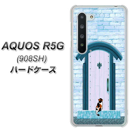 Softbank アクオス R5G 908SH 高画質仕上げ 背面印刷 ハードケース【YA953 石ドア03 素材クリア】