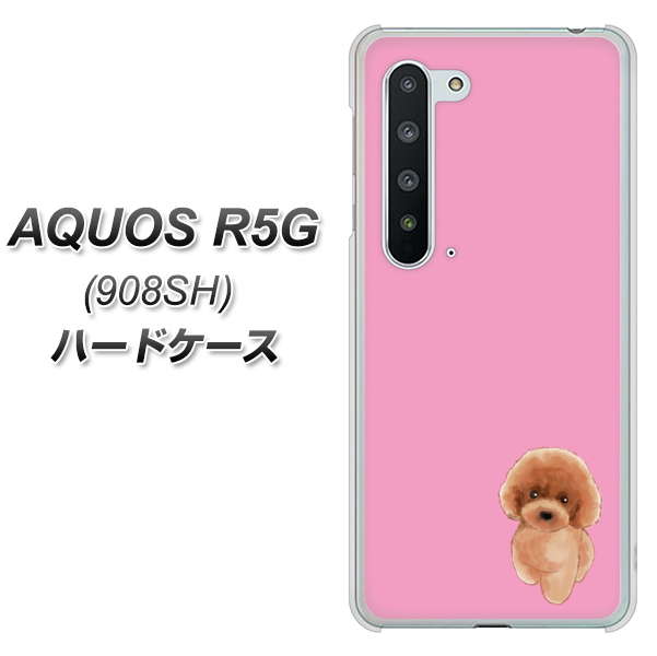 Softbank アクオス R5G 908SH 高画質仕上げ 背面印刷 ハードケース【YJ049 トイプードルレッド(ピンク)】