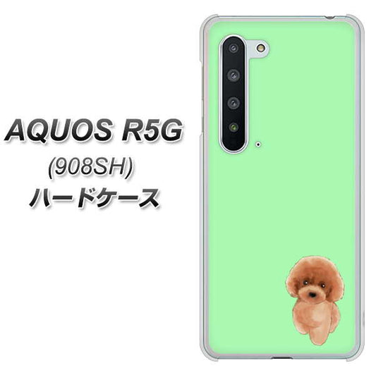 Softbank アクオス R5G 908SH 高画質仕上げ 背面印刷 ハードケース【YJ052 トイプードルレッド( グリーン)】