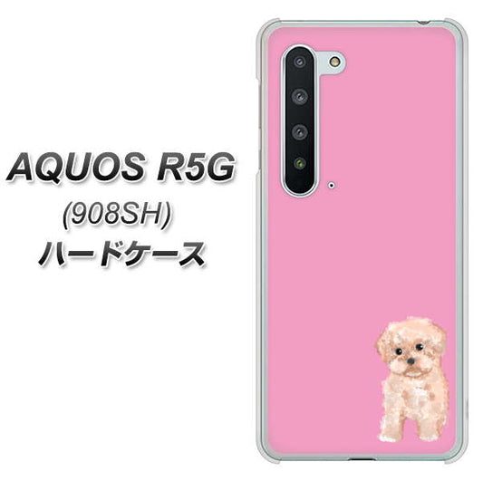 Softbank アクオス R5G 908SH 高画質仕上げ 背面印刷 ハードケース【YJ061 トイプードルアプリコット(ピンク)】