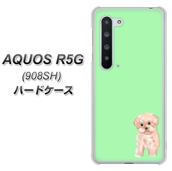 Softbank アクオス R5G 908SH 高画質仕上げ 背面印刷 ハードケース【YJ063 トイプードルアプリコット(グリーン)】