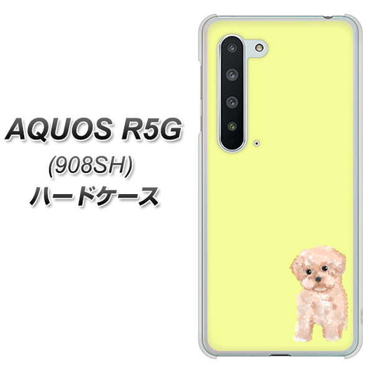 Softbank アクオス R5G 908SH 高画質仕上げ 背面印刷 ハードケース【YJ064 トイプードルアプリコット(イエロー)】