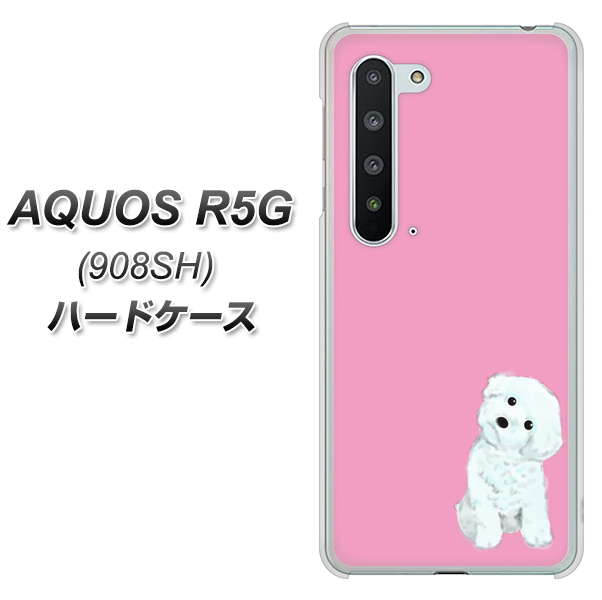 Softbank アクオス R5G 908SH 高画質仕上げ 背面印刷 ハードケース【YJ069 トイプードルホワイト(ピンク)】