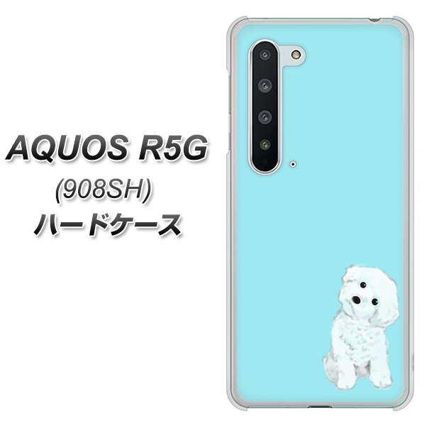 Softbank アクオス R5G 908SH 高画質仕上げ 背面印刷 ハードケース【YJ070 トイプードルホワイト(ブルー)】