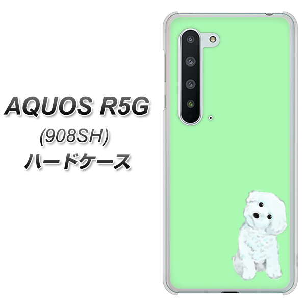 Softbank アクオス R5G 908SH 高画質仕上げ 背面印刷 ハードケース【YJ071 トイプードルホワイト(グリーン)】