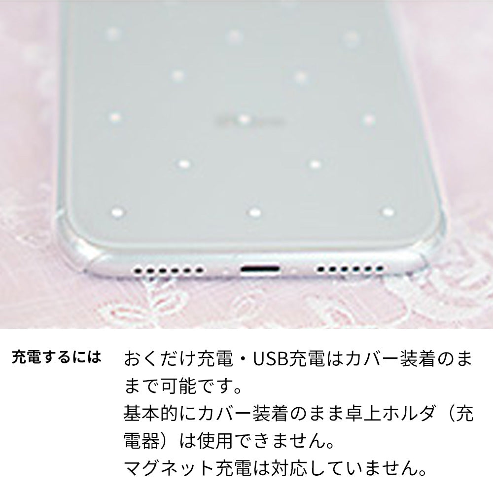 Galaxy S9+ SCV39 au スマホケース ハードケース クリアケース Lady Rabbit